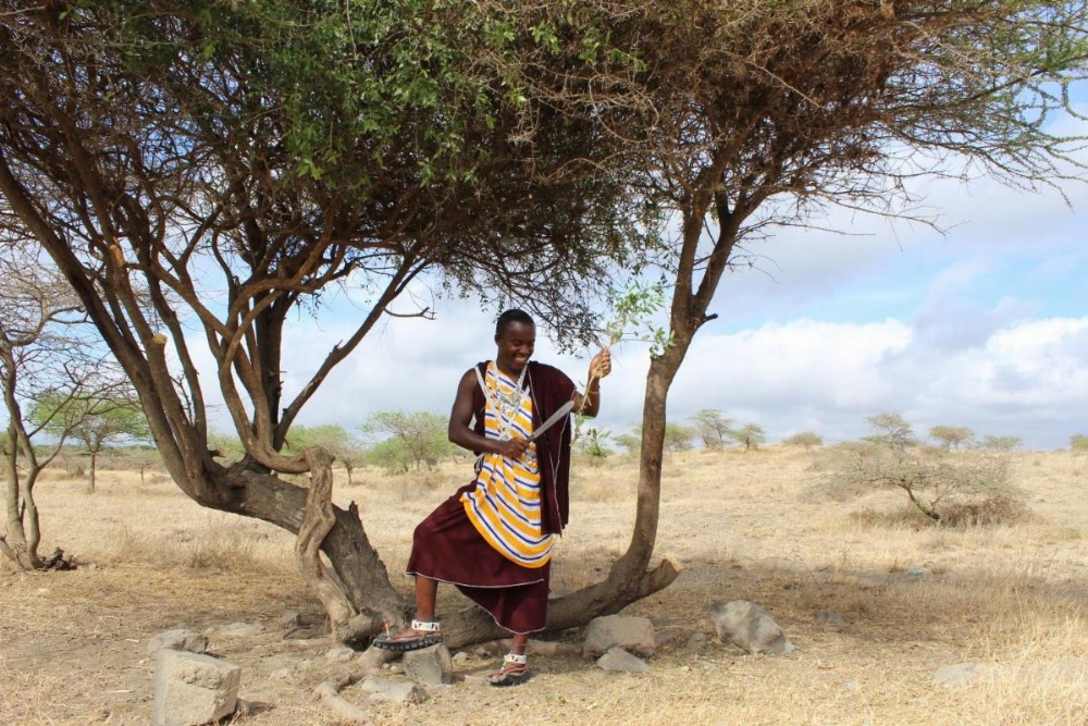 Original Maasai Lodge – Africa Amini Life Image 35